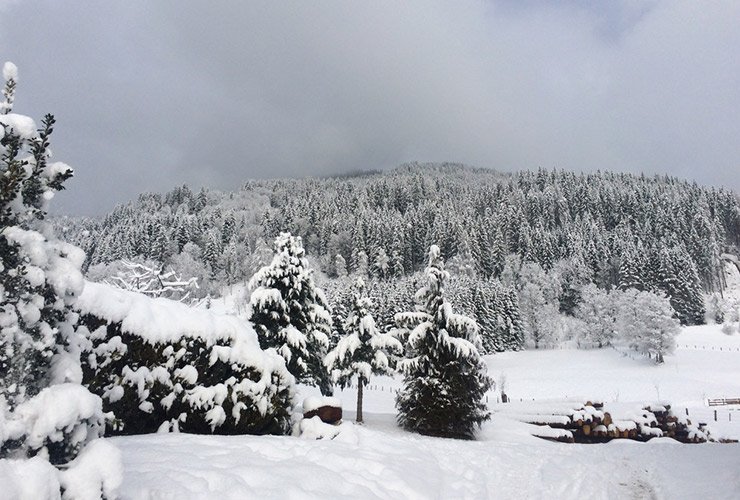langlaufen-sneeuw langlaufen koningsleiten
